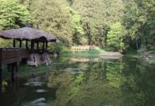 -香港节点加速器推荐