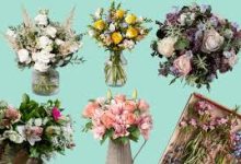 速度快的香港节点-香港节点加速器推荐