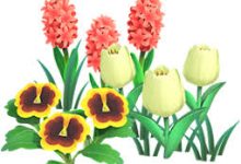 cloudflare香港节点ipv6-香港节点加速器推荐