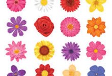 阿里云香港节点连不上-香港节点加速器推荐