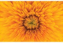 gta5加速器节点连香港还是国际-香港节点加速器推荐