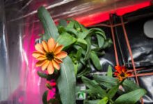 网易uu怎只有香港节点-香港节点加速器推荐