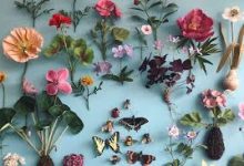 阿里云国内香港节点-香港节点加速器推荐