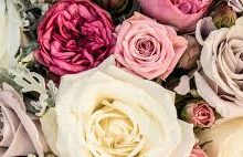 香港节点叫什么-香港节点加速器推荐