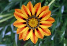 uu香港节点怎么没了-香港节点加速器推荐