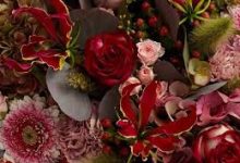 mytv香港节点-香港节点加速器推荐