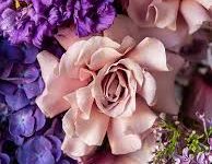 香港服务器搭的节点-香港节点加速器推荐