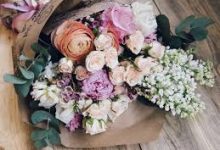 免费节点香港-香港节点加速器推荐