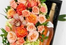 为什么加速器都是香港节点-香港节点加速器推荐