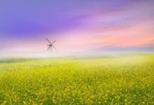 ps4香港节点-香港节点加速器推荐