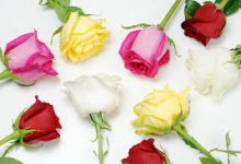 uu加速节点怎么只有香港的-香港节点加速器推荐