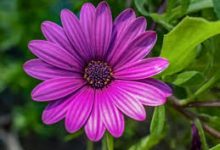 twitch注册 香港节点-香港节点加速器推荐