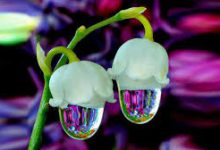 steam节点在香港-香港节点加速器推荐