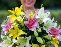 steam下载节点香港叫啥-香港节点加速器推荐