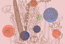 uu加速器节点怎么是香港的-香港节点加速器推荐