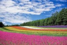 gta5挂美国节点还是香港-香港节点加速器推荐