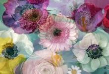 实况香港节点-香港节点加速器推荐