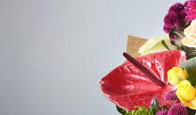 更新八个日本香港节点-香港节点加速器推荐