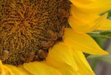 香港 电信 节点-香港节点加速器推荐