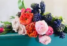 香港cdn节点服务-香港节点加速器推荐