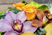 仿照香港节点-香港节点加速器推荐