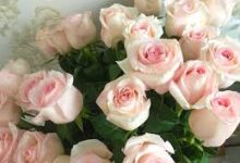 wegame 香港节点-香港节点加速器推荐