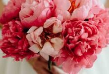 吃鸡香港节点叫什么-香港节点加速器推荐