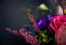 ssr免费香港节点-香港节点加速器推荐