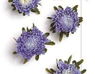 香港ssr节点-香港节点加速器推荐