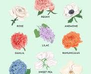 香港节点名-香港节点加速器推荐