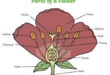 卫卫香港高仿节点默认页-香港节点加速器推荐