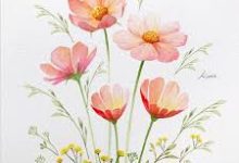 香港台湾谷歌节点-香港节点加速器推荐