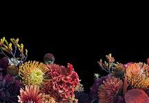 小火箭香港稳定长期节点-香港节点加速器推荐