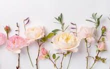 魔门云cdn 香港节点-香港节点加速器推荐