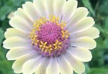 全民上云 香港节点-香港节点加速器推荐