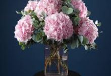 香港节点 vps-香港节点加速器推荐