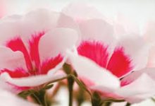 腾讯云香港节点测试-香港节点加速器推荐