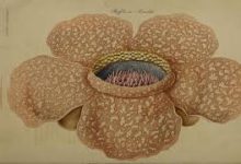 uu加速器节点都是香港的-香港节点加速器推荐