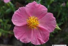 绝地求生更新香港的节点是多少-香港节点加速器推荐