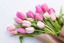 阿里云香港节点备案-香港节点加速器推荐