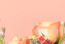 吃鸡节点怎么换到香港-香港节点加速器推荐