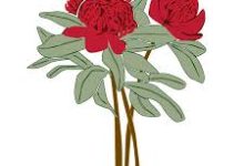 香港公共节点-香港节点加速器推荐