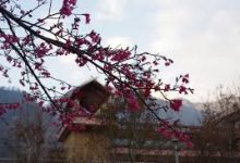 -香港节点加速器推荐