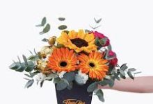 阿里云香港节点问题-香港节点加速器推荐