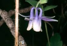 雷神怎么调香港节点-香港节点加速器推荐