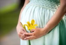 小火箭香港节点官网-香港节点加速器推荐