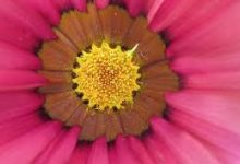 cf节点选香港-香港节点加速器推荐