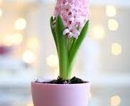 香港节点vps-香港节点加速器推荐