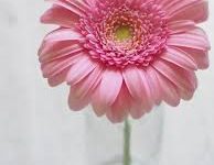 腾讯加速器香港节点-香港节点加速器推荐