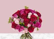 cfcdn怎么用香港节点-香港节点加速器推荐